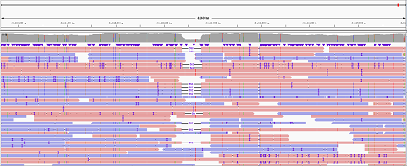 IGV screenshot 390bp OPA1 heterozygous deletion