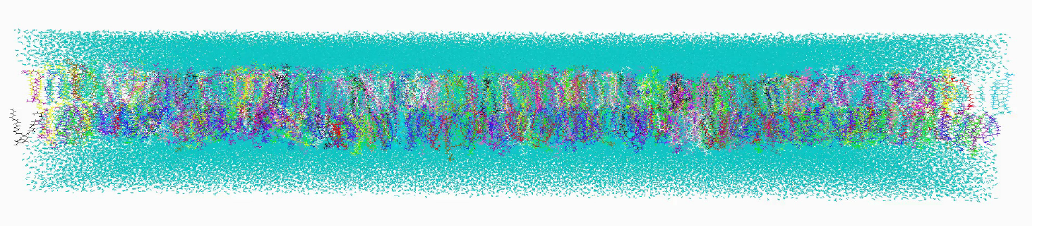 nA schematic of a large sectio of a membrane with 50 kinds of lipids in different colors