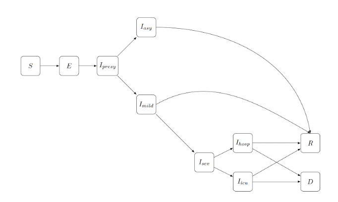 A sketch of the compartmental model